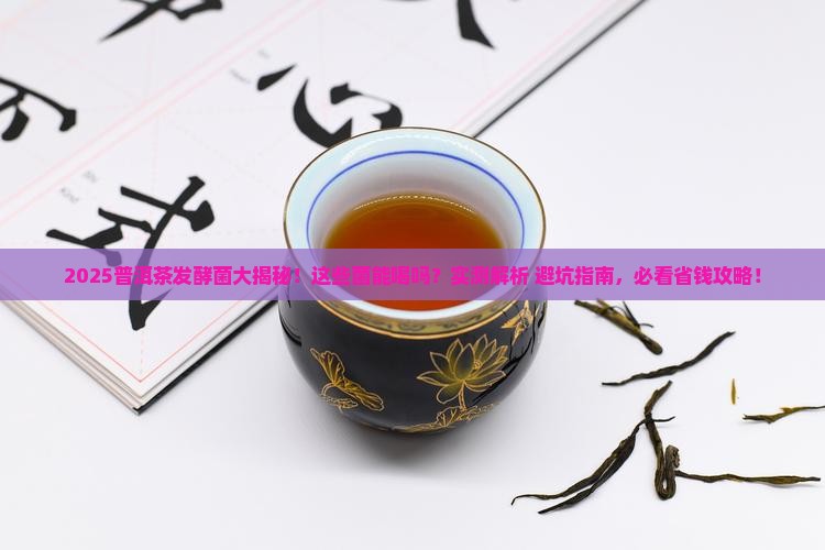 普洱茶有发酵菌吗能喝吗