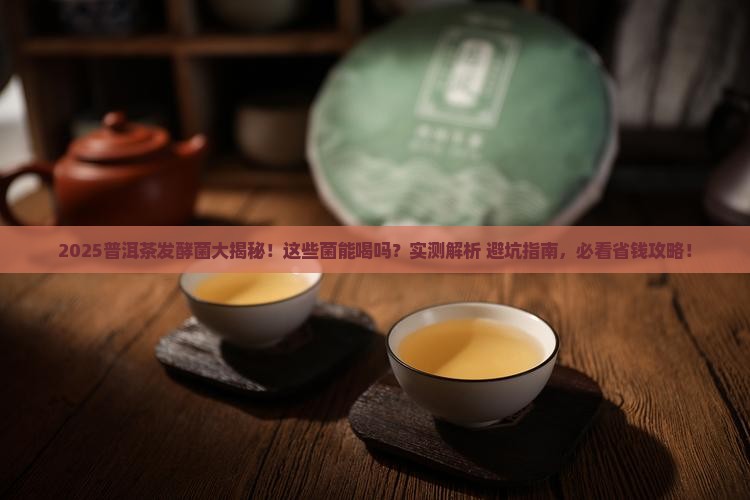 普洱茶有发酵菌吗能喝吗