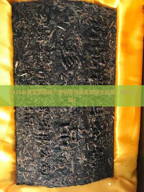 蒙顿普洱茶膏好不好