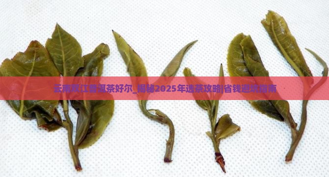 云南双江普洱茶好尔