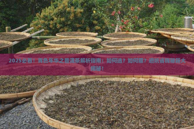 青色年华之普洱茶