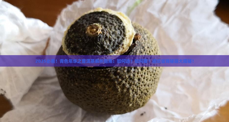 青色年华之普洱茶