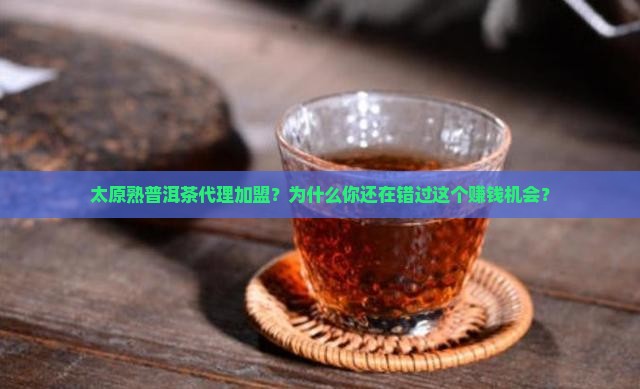太原熟普洱茶代理加盟