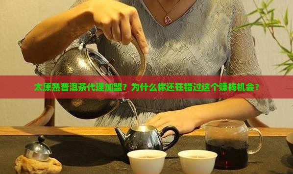 太原熟普洱茶代理加盟