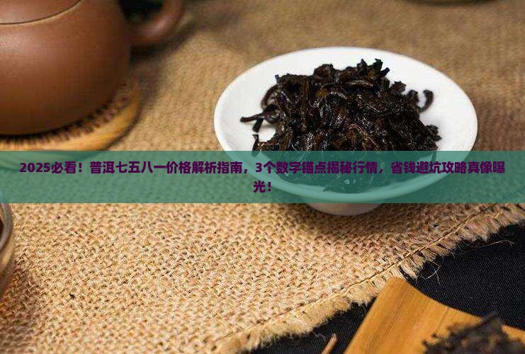 普洱七五八一价格