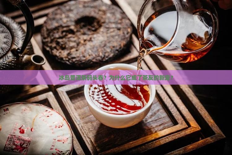 冰岛普洱茶码头春 冰岛普洱茶码头春