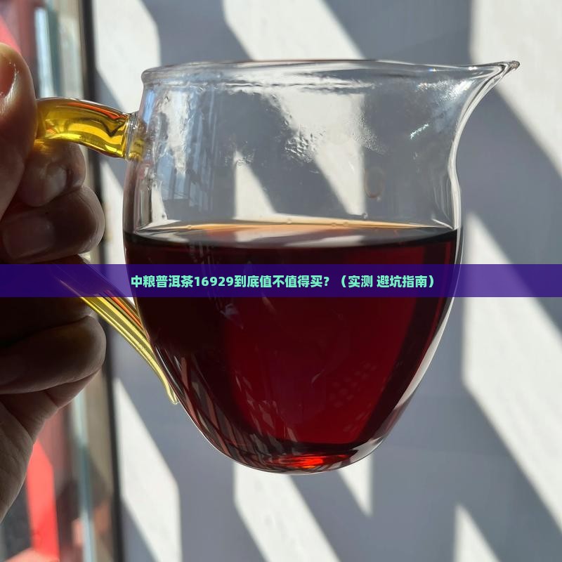 中粮普洱茶16929