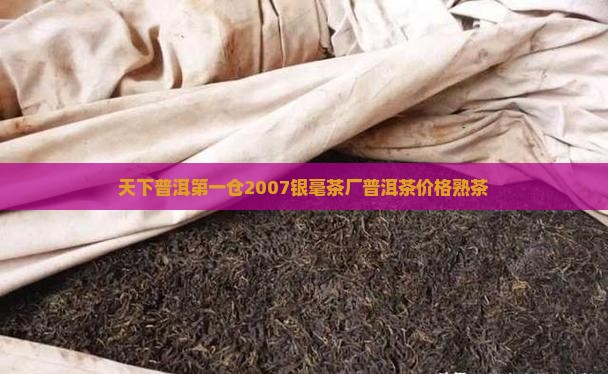 天下普洱第一仓2007银毫茶厂