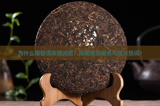 喝普洱茶为什么可以减肥