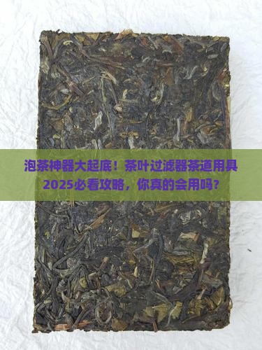 泡茶时的茶叶过滤器茶道用具大全