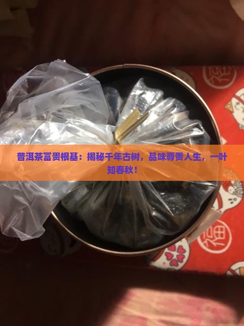 普洱茶富贵根基