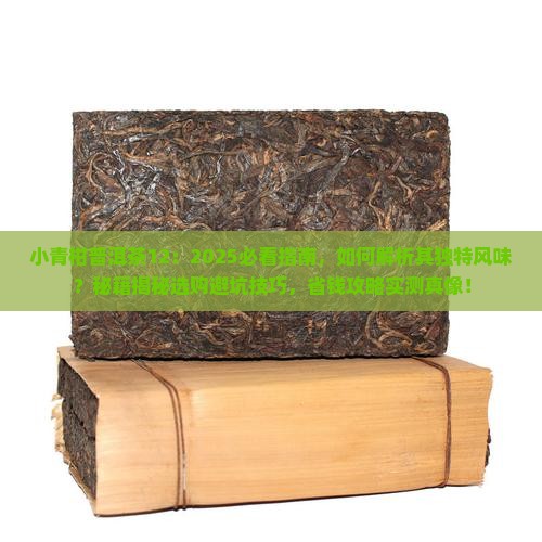 小青柑普洱茶12