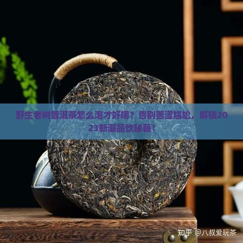 野生老树普洱茶怎么泡才好喝