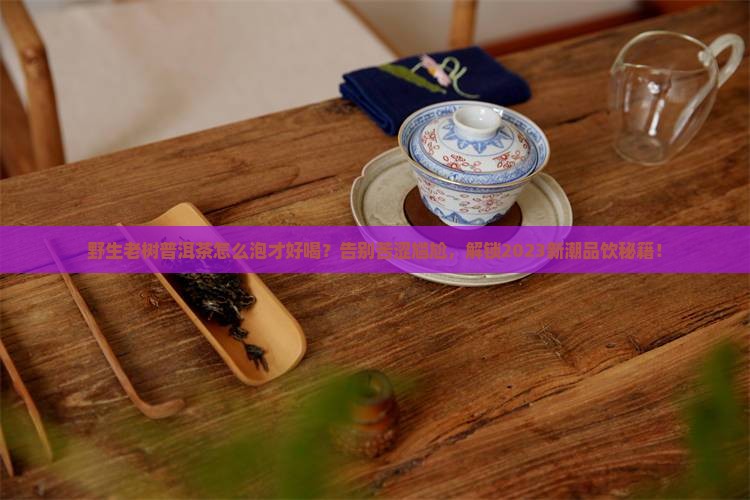 野生老树普洱茶怎么泡才好喝