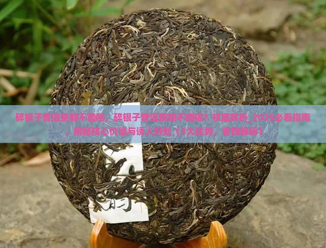 碎银子普洱茶能不能喝