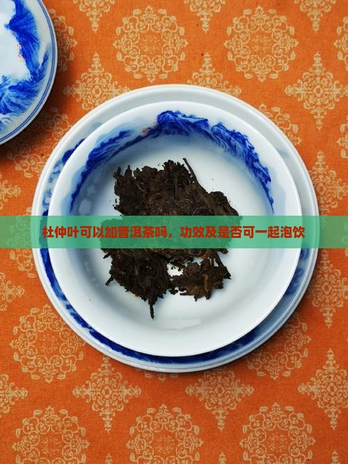杜仲叶可以加普洱茶吗