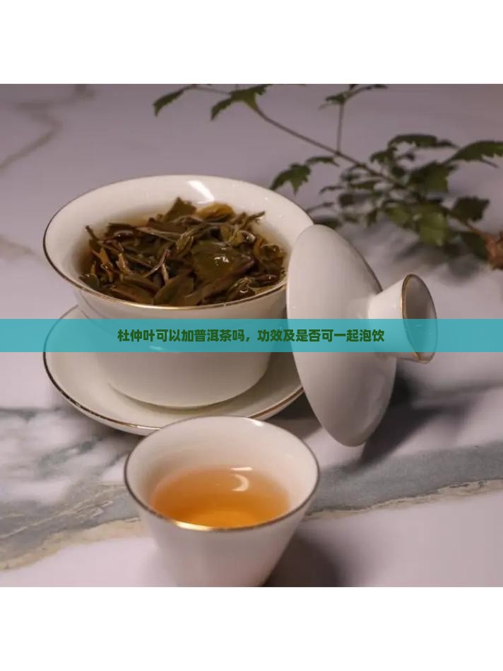 杜仲叶可以加普洱茶吗