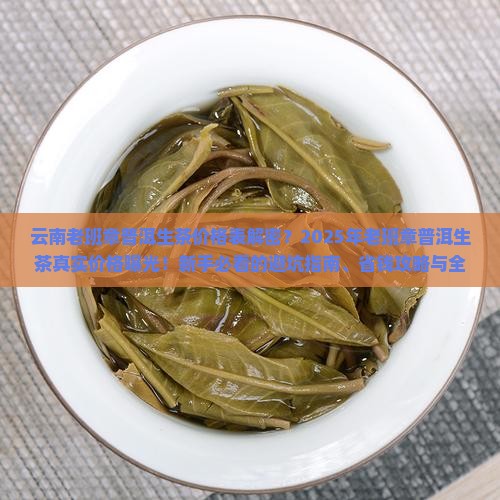 云南老班章普洱生茶价格表