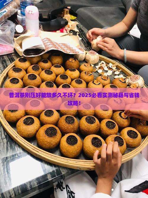 普洱茶刚压好能放多久不坏