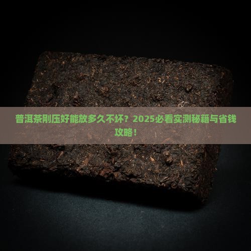 普洱茶刚压好能放多久不坏