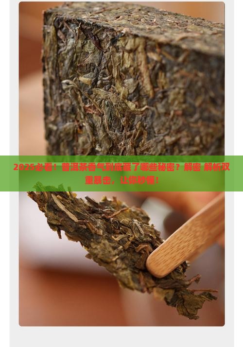 普洱茶的芳香成分是哪些
