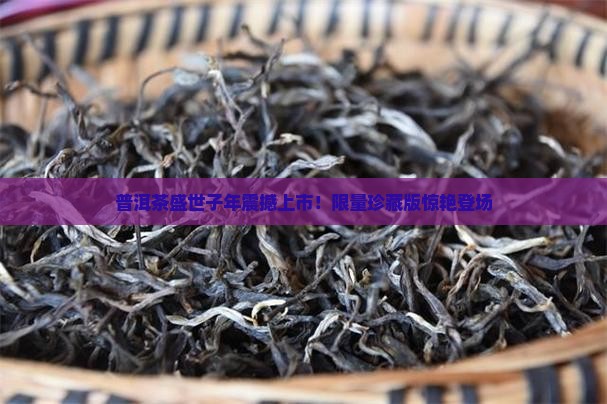 普洱茶盛世子年 普洱茶盛世子年