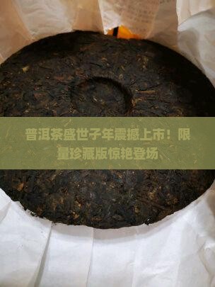 普洱茶盛世子年 普洱茶盛世子年