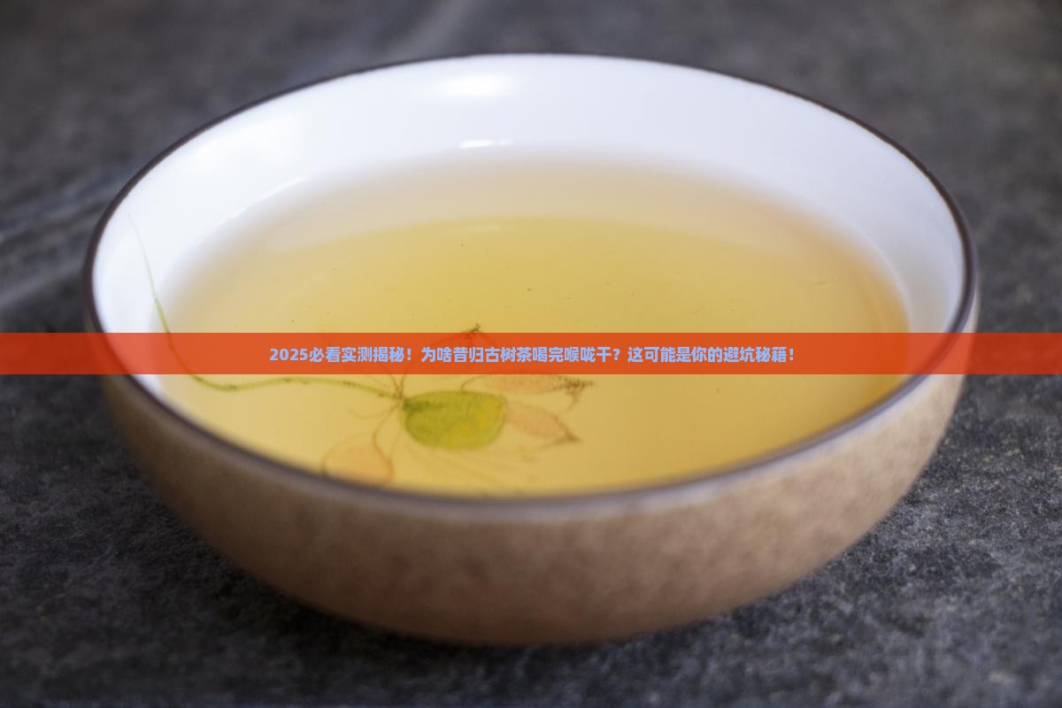 昔归古树茶喝了喉咙干涩