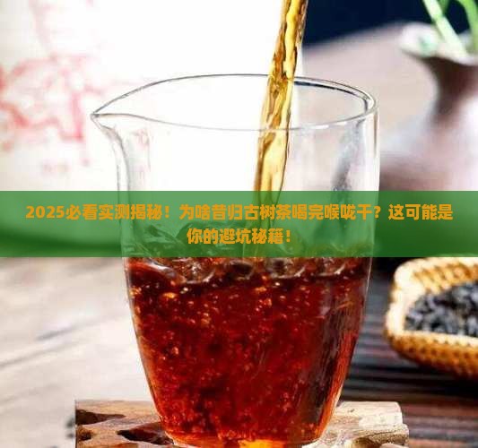 昔归古树茶喝了喉咙干涩