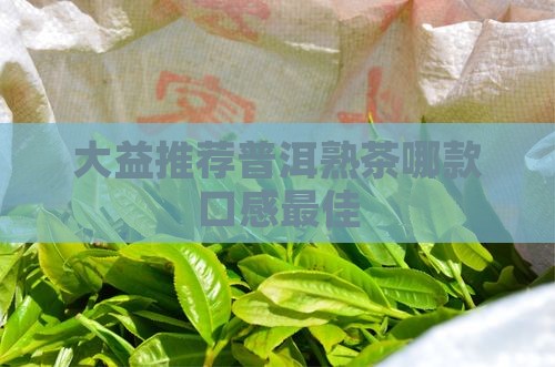 大益普洱茶好喝的熟茶 大益普洱茶好喝的熟茶