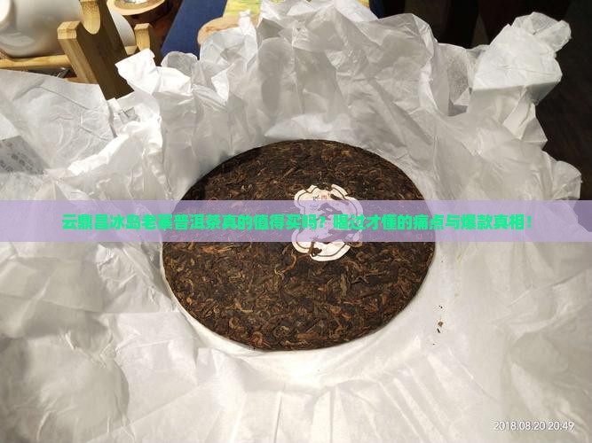 云鼎昌冰岛老寨普洱茶