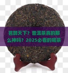 茗醉天下普洱茶