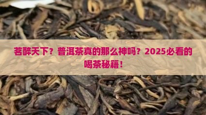 茗醉天下普洱茶