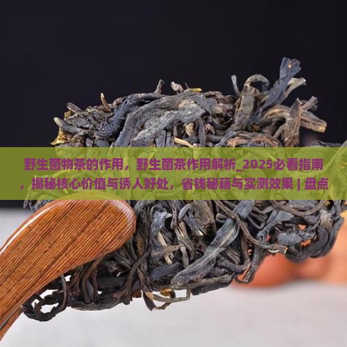 野生菌物茶的作用