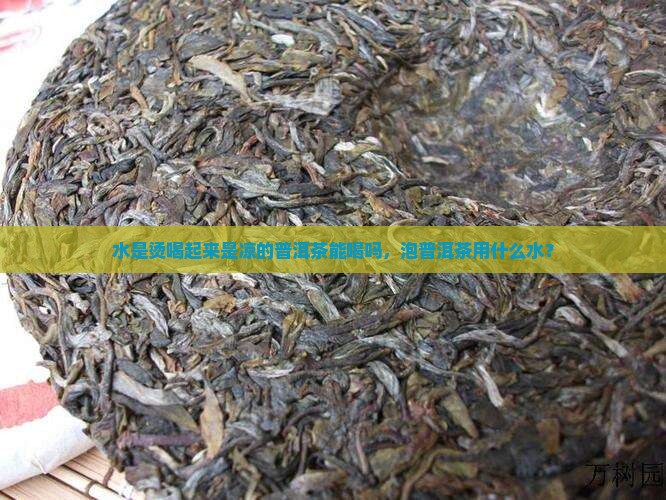 水是烫喝起来是凉的普洱茶