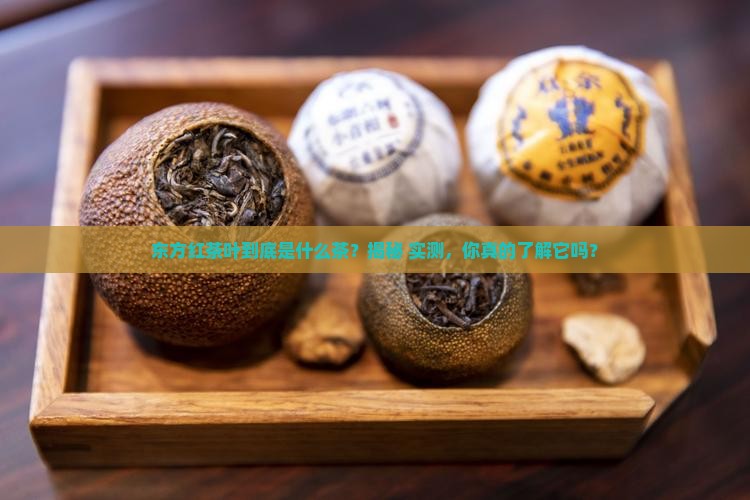 东方红茶叶属于什么茶