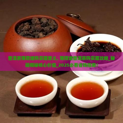 普洱茶薄荷塘购买藏意义