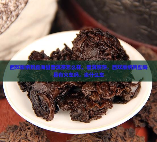 西双版纳到勐海县普洱茶