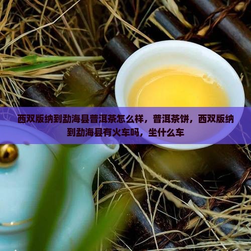 西双版纳到勐海县普洱茶