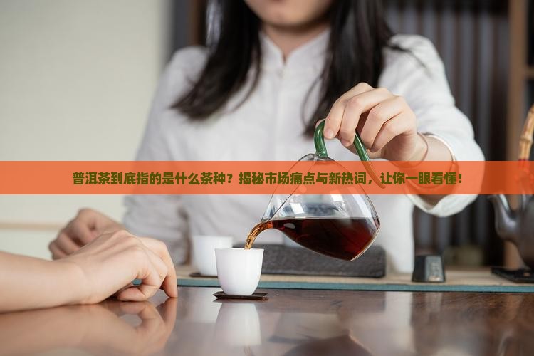 普洱茶指的是什么茶种