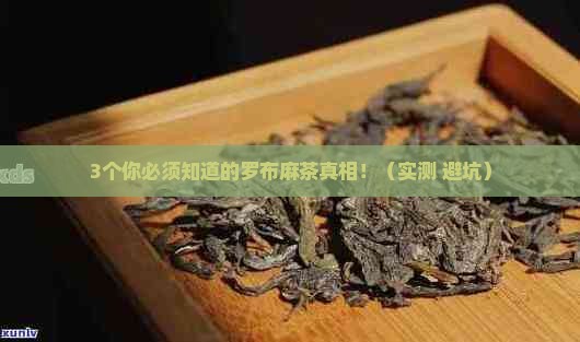 罗布麻茶的好处与坏处