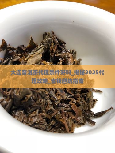 大连普洱茶代理条件好吗