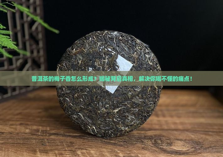 普洱茶的梅子香怎么形成