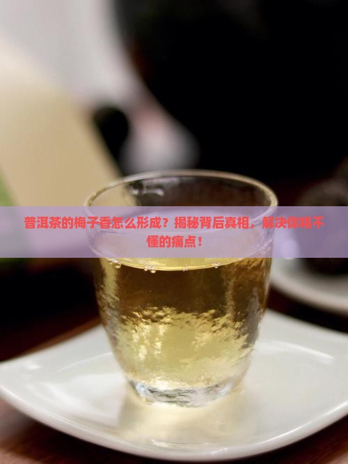 普洱茶的梅子香怎么形成