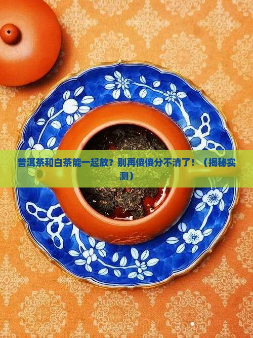 普洱茶和白茶一样存放吗
