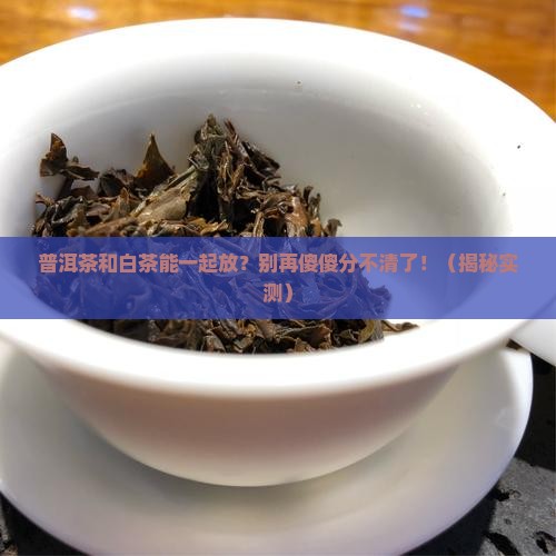普洱茶和白茶一样存放吗