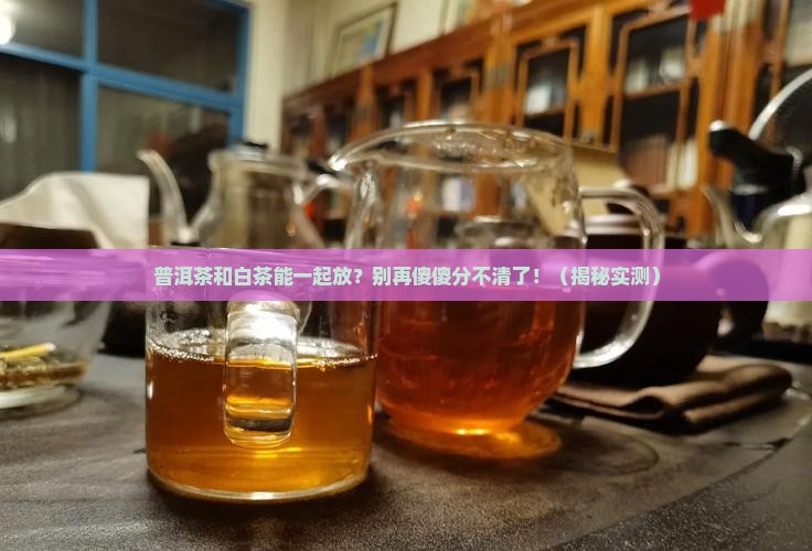 普洱茶和白茶一样存放吗