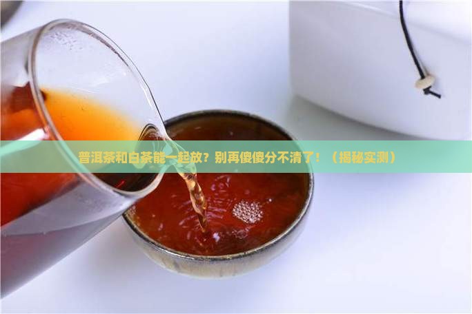 普洱茶和白茶一样存放吗