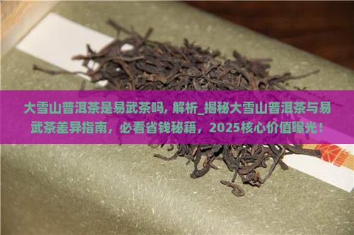 大雪山普洱茶是易武茶吗