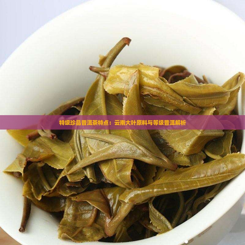 特级珍品普洱茶特点